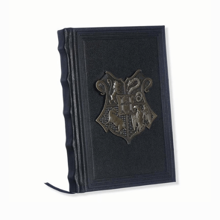 Caderno Harry Potter Hogwarts Brasão Metal 96 Folhas Pautadas Zonacriativa